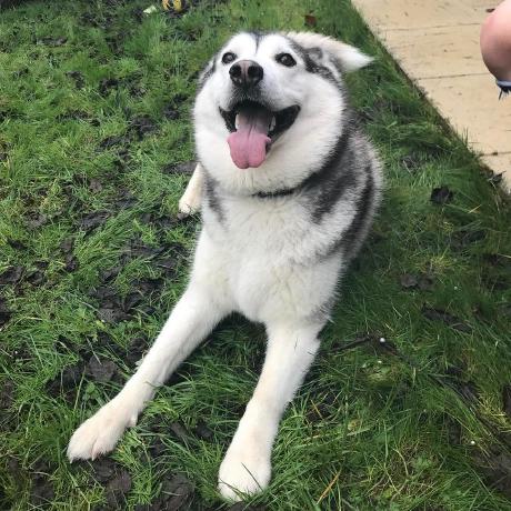 Cervera Github - 4K Dark Pictures for Desktop