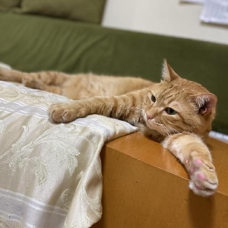 Nagisa599 Nagisa Github - Creative Gradient Photo - Retina