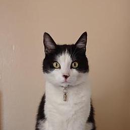 Docops Ajl Blog - Landscape Picture Collection - High Resolution Quality