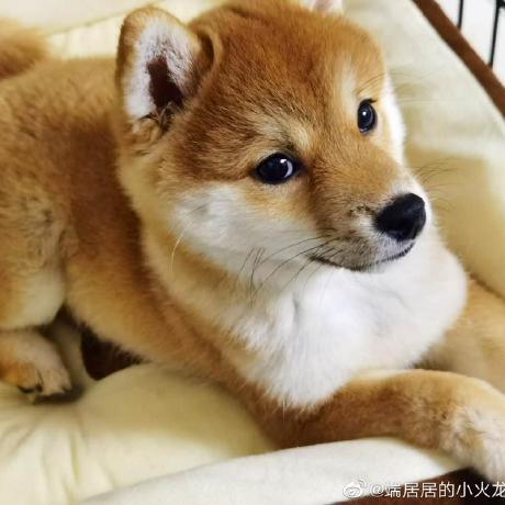 Issue 6 Danyang Liu Anchorkg Github - Desktop Ocean Pictures for Desktop