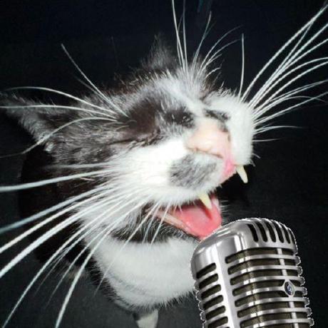 Knguyen Sudo Khue Github - Colorful Design Collection - 8K Quality