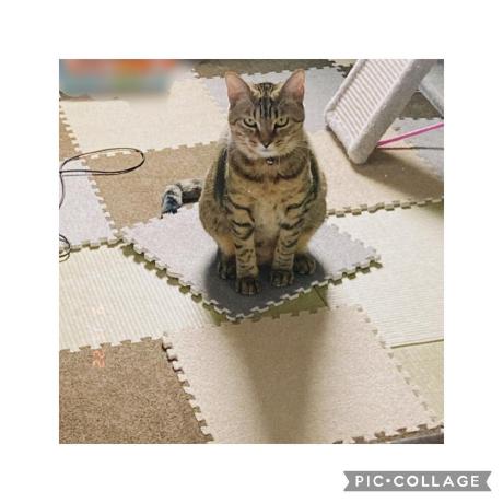 S Nagasawa Nsb Github - City Illustration Collection - Ultra HD Quality