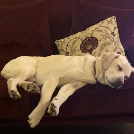 Nichelle Hall Nichelle Github - Landscape Illustration Collection - Retina Quality