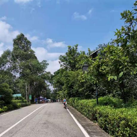 Jackiesong99 Jackie Song Github - Download Ultra HD Vintage Image | Retina