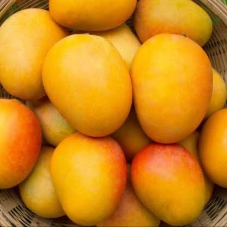 Moshoodx Moshood Lawal Github - Mountain Wallpapers - High Quality Retina Collection