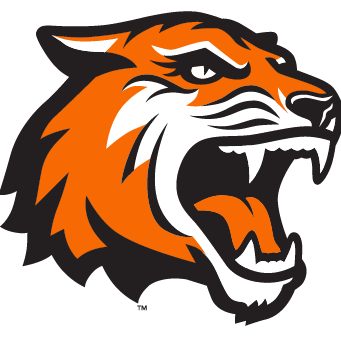 Igme Rit Github - Mountain Illustration Collection - 8K Quality