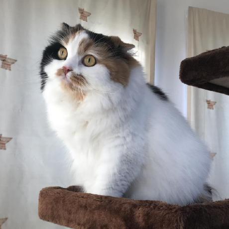 Github Myaaaaa Chan Zabbix4j Zabbix Api Library For The Java Language - Amazing Colorful Wallpaper - Full HD