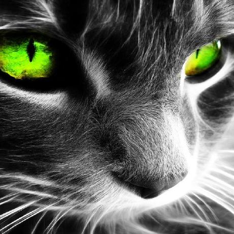 Brendan Bormann Brendan Bormann Github - Mobile Vintage Backgrounds for Desktop