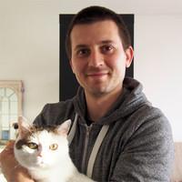 Github P Shterev Drshterev Inittt - Perfect Landscape Illustration - Mobile