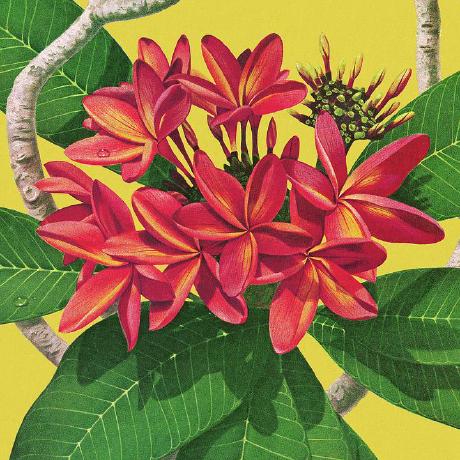 Github An N Ya Asrcf - HD Sunset Textures for Desktop