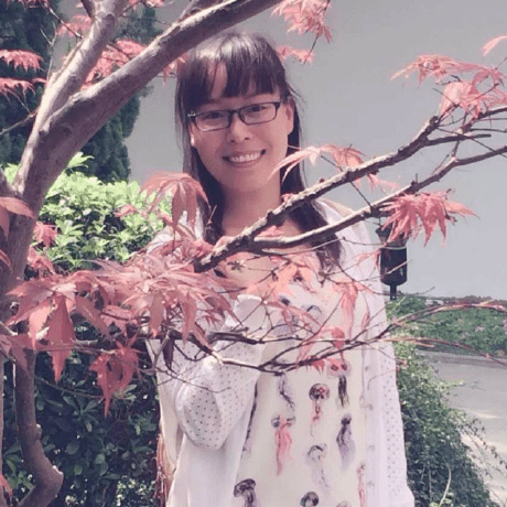 Nancyli02 Nan Li Github - Geometric Image Collection - 4K Quality