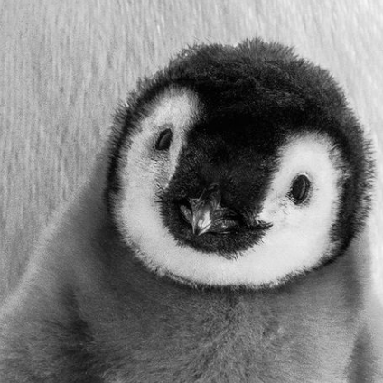 Github Tonin386 Cassandre - Modern Geometric Design - Retina