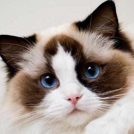 Matthewk78 Matthew Github - Modern High Resolution City Pictures | Free Download