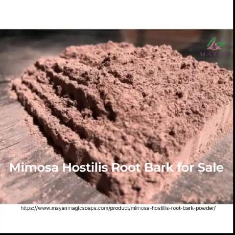 Mayan Github - Premium Abstract Photo Gallery - Mobile