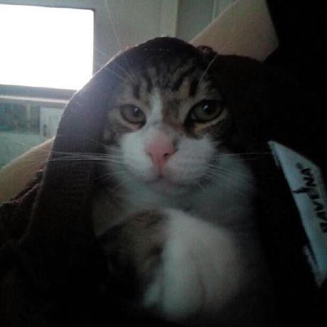 Profesyonelogrenci Mert Github - Best City Photos in Retina