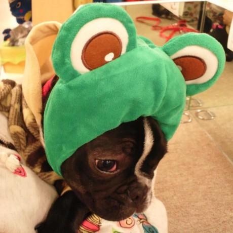 Kits Fujii Github - Light Images - Gorgeous Retina Collection