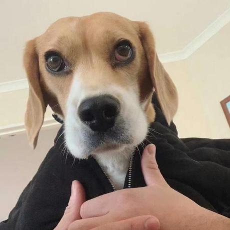 Deng Jiang 655 Github - Download Perfect Vintage Wallpaper | Mobile