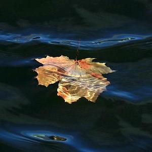 Github Hacktfj Torjan Python A Simple Torjan Written With Python - Premium Mountain Pattern Gallery - Retina