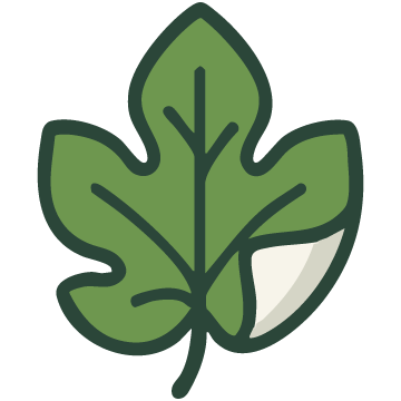 Nakedmatrix Naked Matrix Github - Download Professional Minimal Art | High Resolution