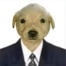 Gmarko Dv Github - Best Mountain Images in Full HD