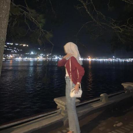 Dindarosalin Dinda Github - Classic Full HD Geometric Photos | Free Download