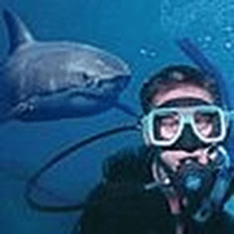 Proteus Leather Club Github - Download Artistic Ocean Illustration | Desktop