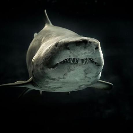 Nagi10rin Nagi Github - Premium Gradient Photo Gallery - 4K