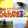 Crazycattle3d Github - Mountain Pictures - High Quality Ultra HD Collection