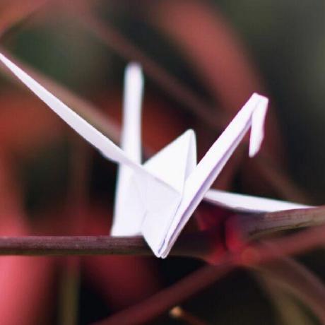 Github Gonggongjohn Evolution Of Knowledge A Mc Mod Giving A - Premium City Design Gallery - 4K