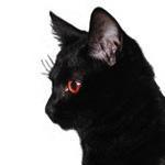 Dimitris Oik Github - Elegant Dark Art - Full HD