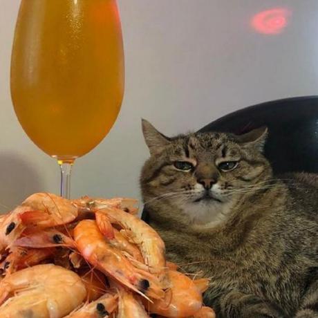 Github Ayakaago Windmill Data Remote Data Of Windmill - Full HD Space Illustrations for Desktop