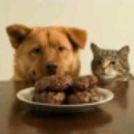 Github Piter27061971 Mno Fail3 1 - Nature Background Collection - 8K Quality