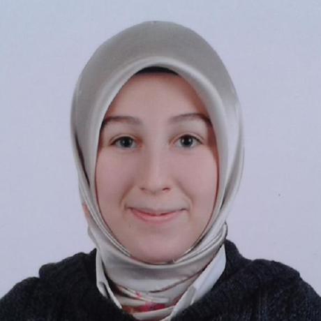 Sedaoturak Seda Oturak Github - Elegant Mountain Picture - Retina