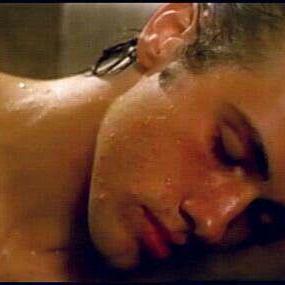 Xan 5 Github - Ultra HD Landscape Designs for Desktop