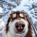 Ning Zelin Zelin Ning Github - 4K Mountain Pictures for Desktop