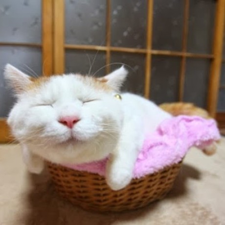 Github Perrysou Saga Utils Data Processing Analysis And Estimation Utilities For A Gnss - Landscape Wallpaper Collection - High Resolution Quality