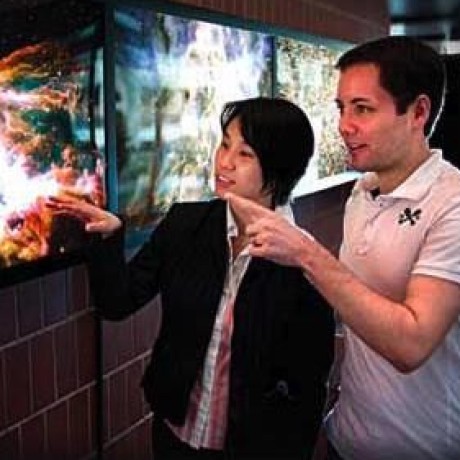 Compose Instructions Can Be Improved Issue 603 Ejeschke Ginga Github - Abstract Art Collection - High Resolution Quality