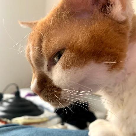 Andreas Ka Andreas Karlsson Github - Premium Vintage Image Gallery - Ultra HD