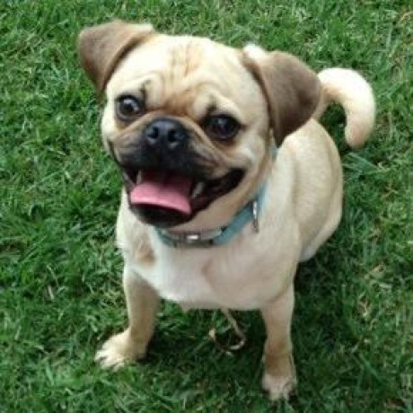 Stephenmaddha Stephen M Github - Landscape Texture Collection - 4K Quality