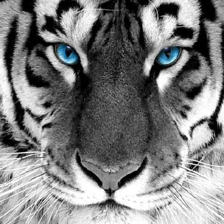 Benchmark Issue 2 Iyengar111 Nanolog Github - Ultra HD Light Illustrations for Desktop