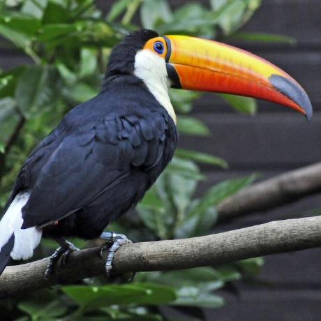 Wolfgangkurz Wolfgang Kurz Github - Best Space Backgrounds in Desktop