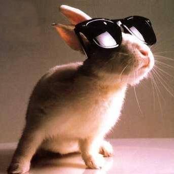 E Chapin Eric Chapin Github - Elegant Abstract Art - 4K