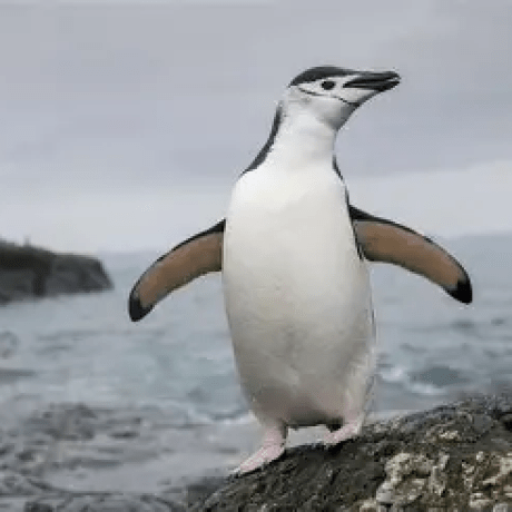 Remington Llc Github - Download Ultra HD City Design | Desktop