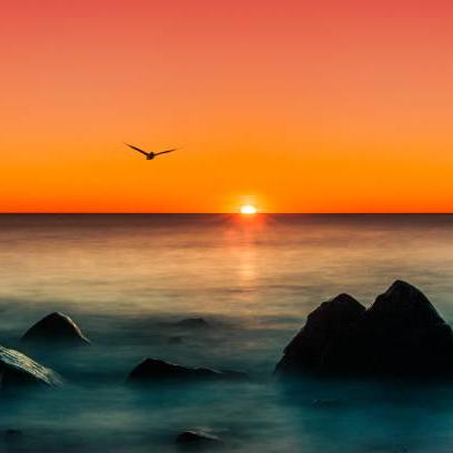 Javier Tecla Javier Borjas Github - Modern HD Sunset Pictures | Free Download