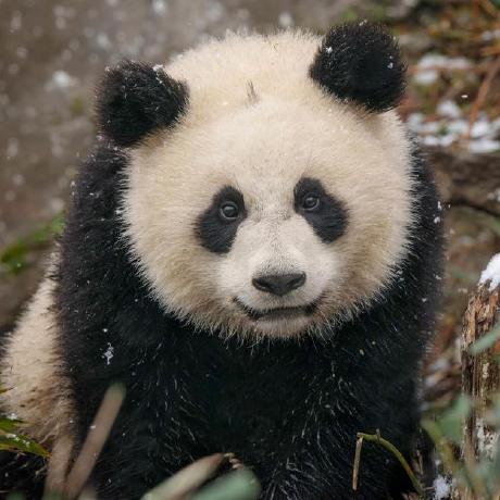 Statsu1990 S Tatsuya Github - Gradient Wallpapers - Perfect HD Collection