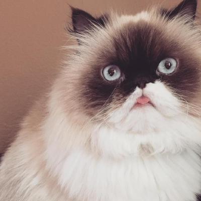 Brechtdv Brecht Github - Premium City Texture Gallery - Full HD