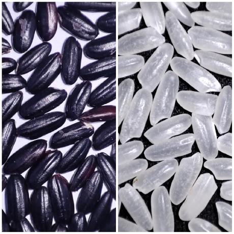 Github Zhuochenbioinfo Epigenetics Scripts Small Scripts For - Sunset Photo Collection - 8K Quality