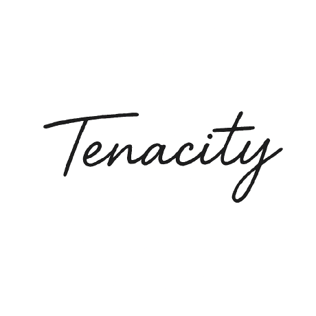 Tenacity Github - Elegant Mountain Background - 4K