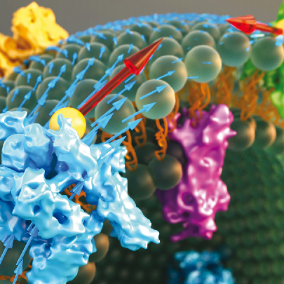 Spin Systems Github - City Picture Collection - HD Quality