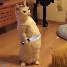 Kitkatt17 Kat Github - Professional Light Art - Mobile